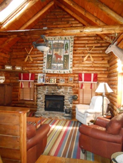 log cabin living room