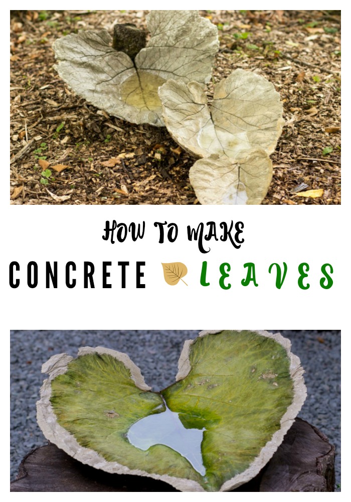 concrete leaf