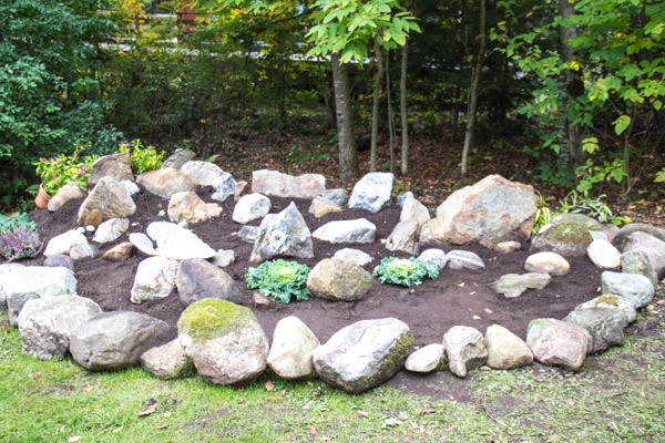 rock garden