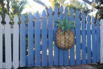 pineapple gate