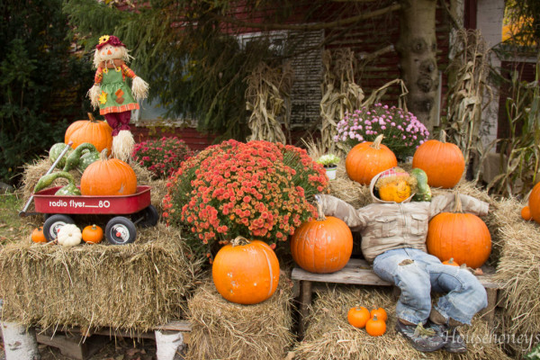 Autumn in Vermont | Fox Den Rd