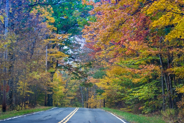 Fall Foliage in New England | Fox Den Rd